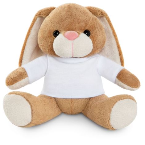 Rabbit Bunny